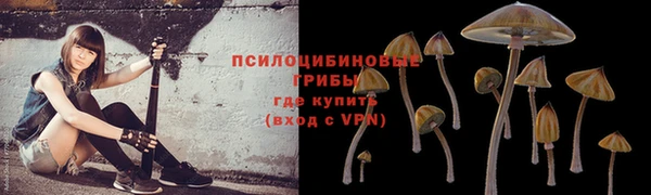 гашишное масло Алексеевка