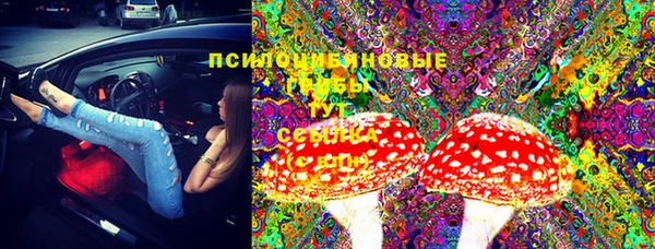 прущая мука Алексин