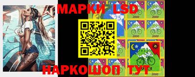 стаф Сланцы