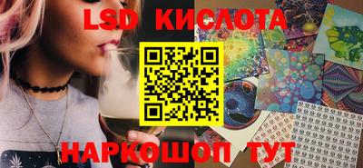 стаф Сланцы