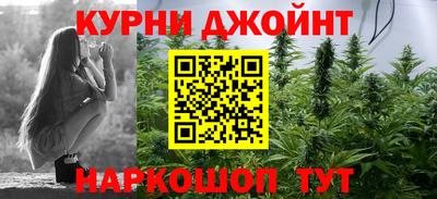 стаф Сланцы