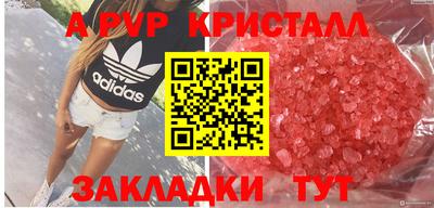 стаф Сланцы