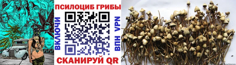Галлюциногенные грибы Cubensis  Курск 