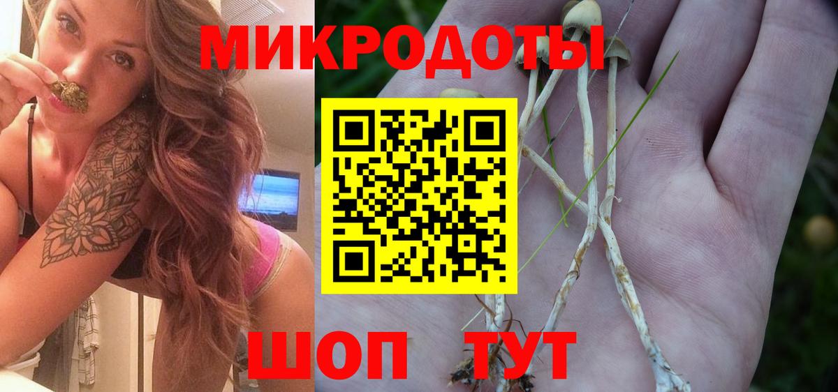 Псилоцибиновые грибы Psilocybine cubensis Курск